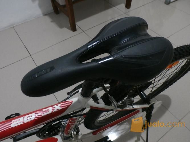 Sepeda Mountain Bike Miami (XC-02)