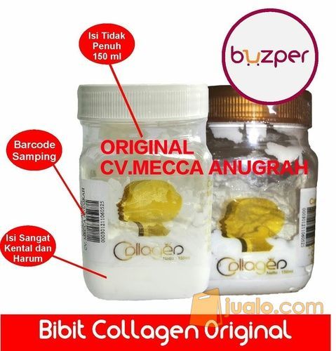 Bibit Collagen Original Cv Mecca Anugrah Makassar Jualo
