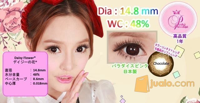 Softlens Daisy Flower