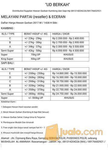 Supplier Hewan Qurban Jakarta Sapi Dan Kambing PARTAI (Reseller) & ECERAN