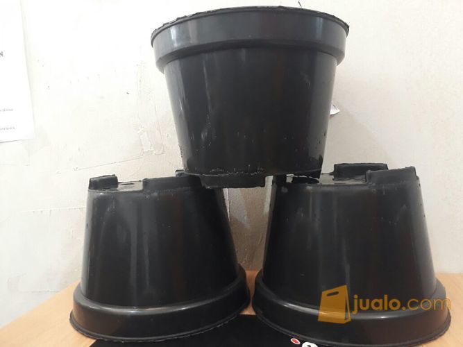  Pot  Tanaman 17cm Jakarta  Timur  Jualo