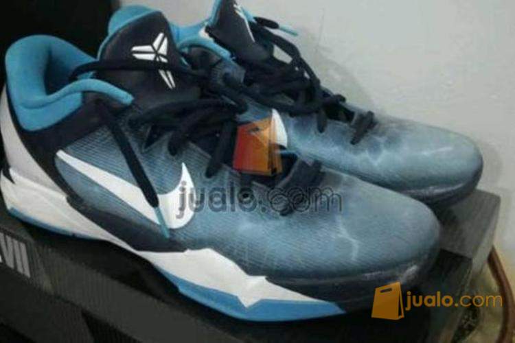kobe 7 shark