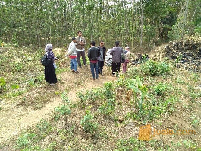 Tanah Kavling 20 Juta Malang