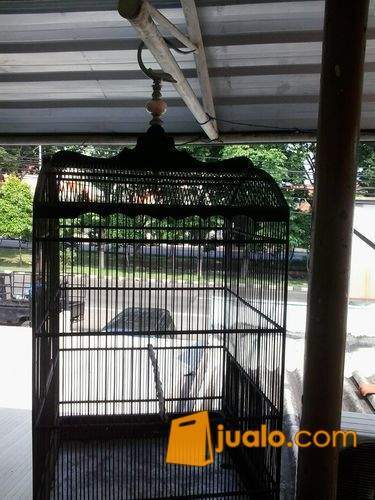 30++ Sangkar burung ukuran 50x50 terbaru