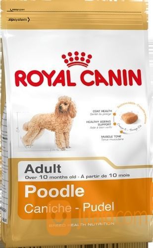 royal canin poodle wet food