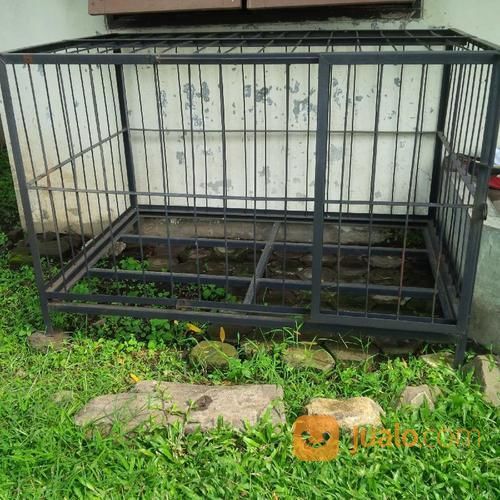 50+ Harga anjing rumahan info