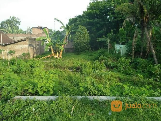 TANAH LOKASI Pinggir Jalan Raya | Kab. Sragen | Jualo