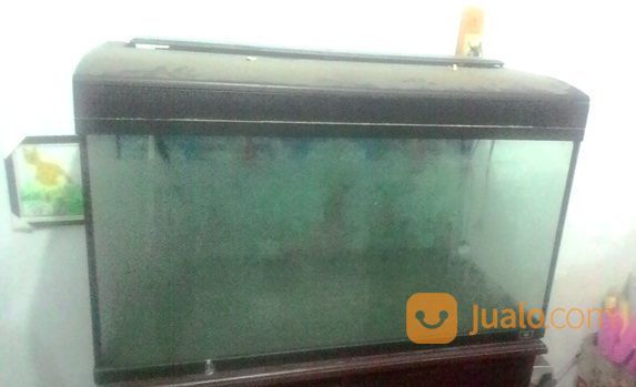  Aquarium  Bekas  Kondisi Bagus Surabaya  Jualo
