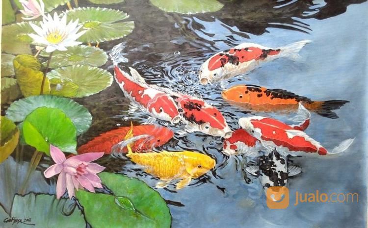 20 Koleski Terbaru Gambar Lukisan Ikan Koi Termahal 