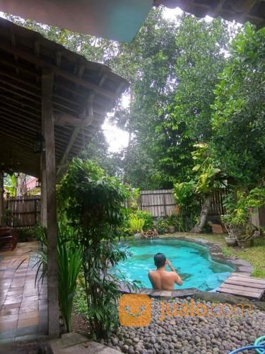 Homestay Guest House Villa Jogja Ada Kolam Renang Daerah Tembi Bisa Rombongan Kab Bantul Jualo