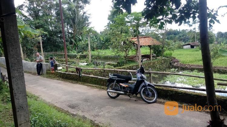Tanah Dan Kolam Ikan Di Kuningan Jawa Barat Kab Kuningan Jualo