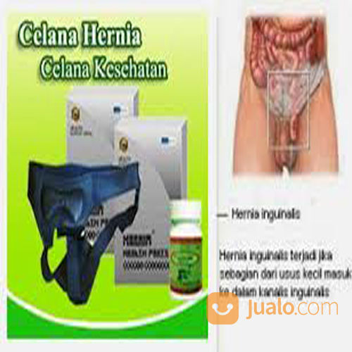  Celana  Hernia  Pil Hernia  Herbal Jakarta Barat Jualo