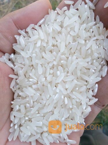 Beras Ir 64 Berkwalitas Kab Batang Jualo Beras Ir 64 Berkwalitas Kab Batang Jualo