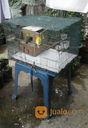 Harga Kandang Burung Lovebird Kotak Lovebirds Lover