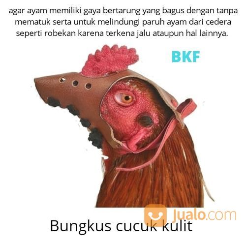 Bungkus Cucuk Kulit Sapi