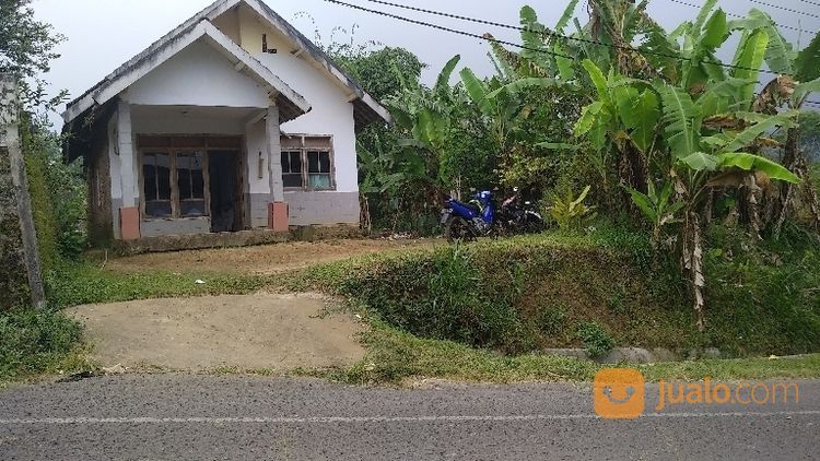 Tanah Dijual Di Nongkojajar Pasuruan