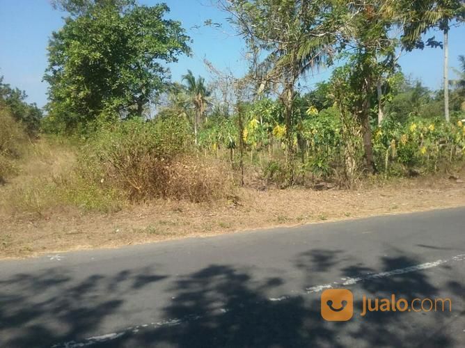 Tanah Murah Dekat Tempat Wisata Pantai Goa Cemara Bantul Kab