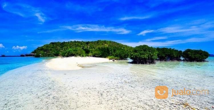 Open Trip Pulau Pahawang