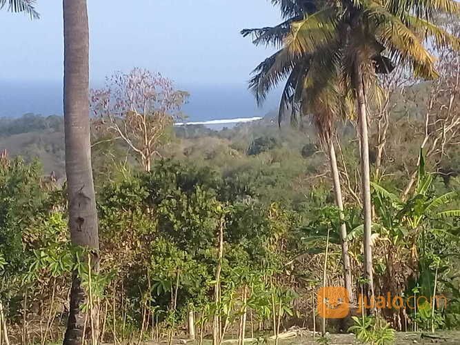 Tanah Strategis Ocean View (Pemandangan Laut)-Pantai Rua.Sumba Barat.Nusa Tenggara Timur.