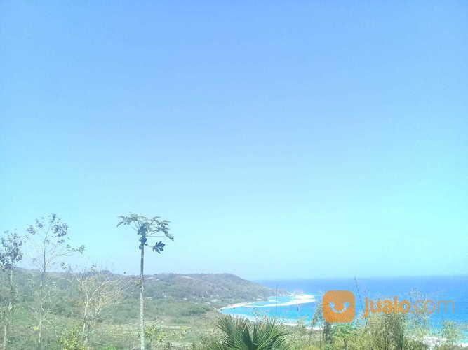 Tanah Strategis Ocean View (Pemandangan Laut)-Pantai Rua.Sumba Barat.Nusa Tenggara Timur.