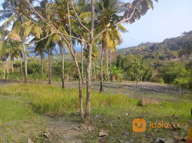 Tanah Strategis Ocean View (Pemandangan Laut)-Pantai Rua.Sumba Barat.Nusa Tenggara Timur.