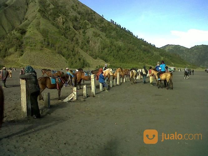 WISATA BROMO (2 HARI 1 MALAM)