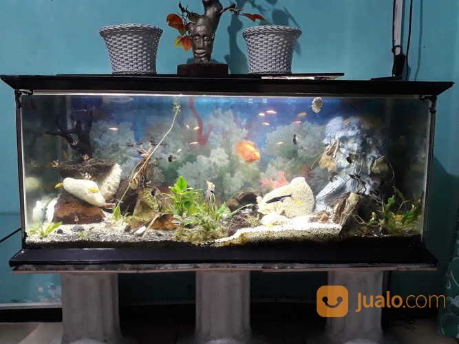  Aquarium  Aquascape Besar  Malang Jualo