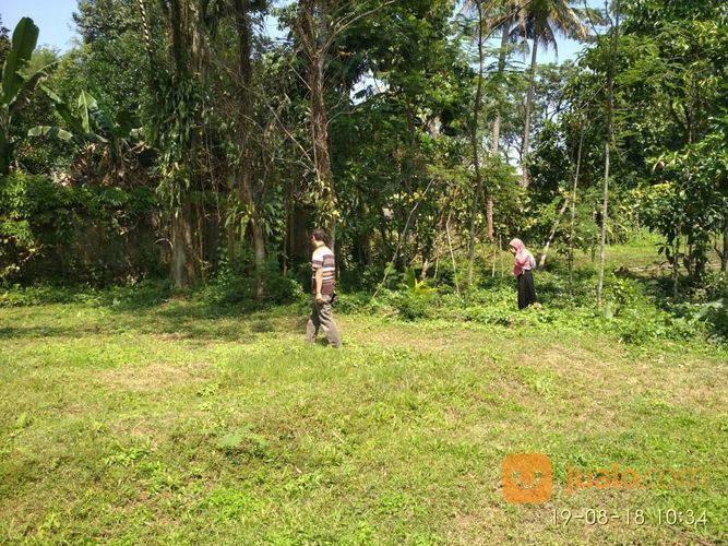 Tanah Kavling Murah Lokasi Strategis Di Bogor Kota | Bogor | Jualo