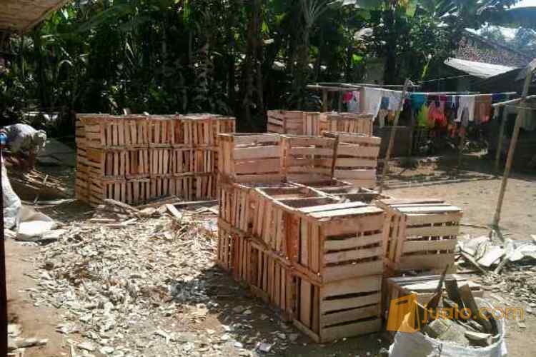 peti kayu buah tomat