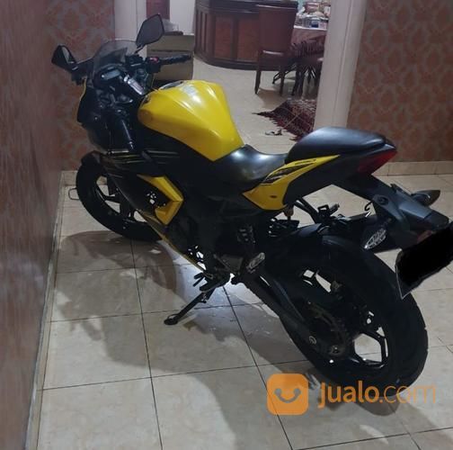 Ninja Mono 250 RR Kondisi Oke Tinggal Pakai