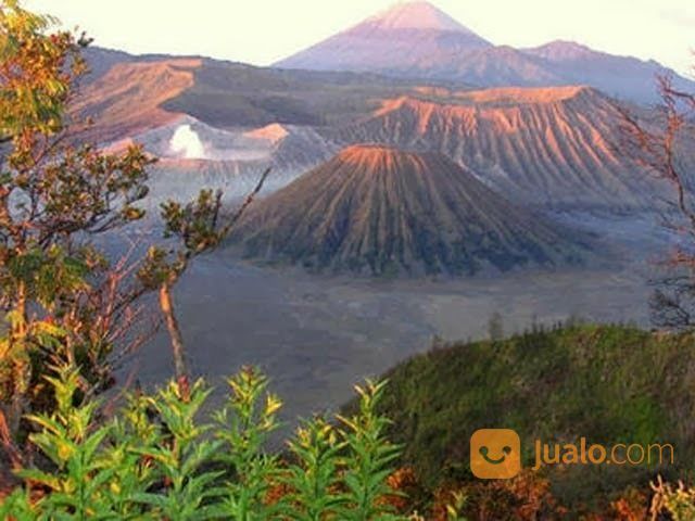 Paket Wisata Surabaya Bromo 3hari 2malam