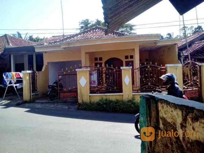 Rumah Di Bawah Harga Di Ciampea Bogor Kab. Bogor Jualo