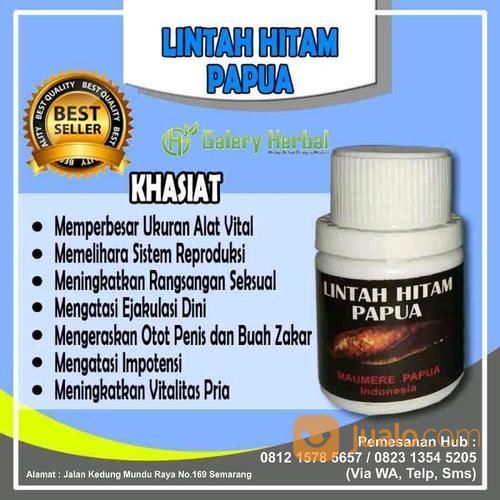 Cara pakai minyak lintah hitam papua yang baik dan benar