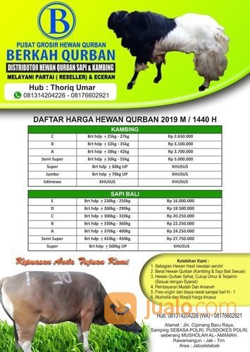 Supplier Hewan Qurban Jakarta Sapi Dan Kambing PARTAI (Reseller) & ECERAN