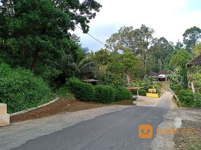 Tanah Super Murah Di Kawasan Wisata Waduk Gondang Kerjo Karanganyar Kab Karanganyar Jualo