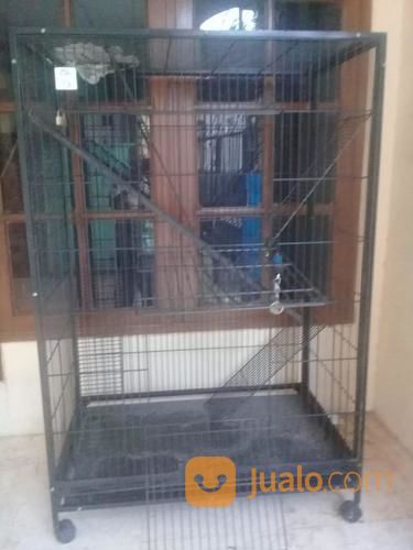 Kandang Ternak Untuk 90 X 60 X 140 P X L X T Dua Pintu Sehinga Bisa 2 Ternak Dalam Satu Kandang Jakarta Selatan Jualo