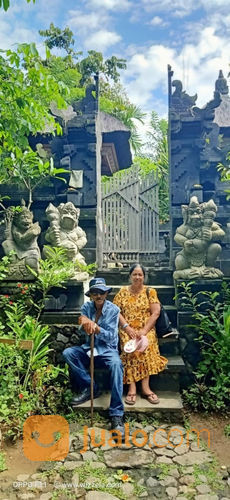 Tour Ubud Travel