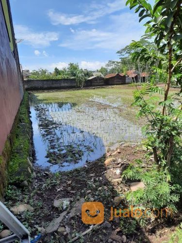 Tanah Strategis Buat Sekolah Perumahan Kota Purwokerto