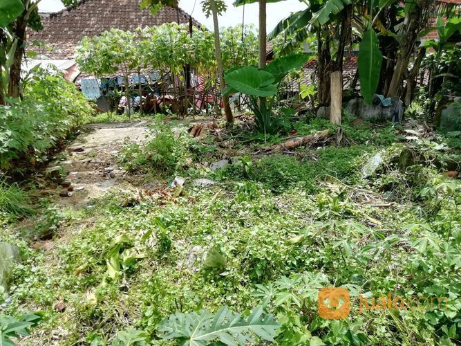 Tanah Datar Strategis Murah Cocok Untuk Usaha Di Baros Kota Sukabumi Sukabumi Jualo