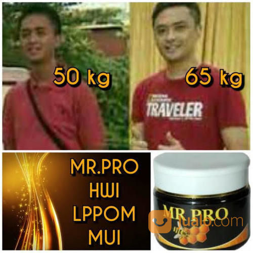 Mr.Pro Herbal Hwi