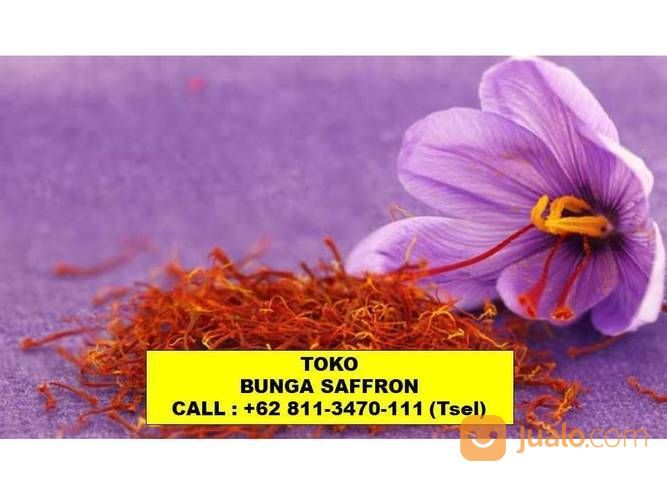 Terbaik Bunga Saffron Untuk Keputihan Banjarmasin Jambi Jambi