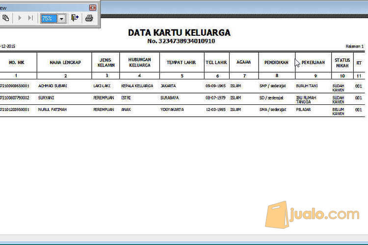 aplikasi data penduduk dengan excel