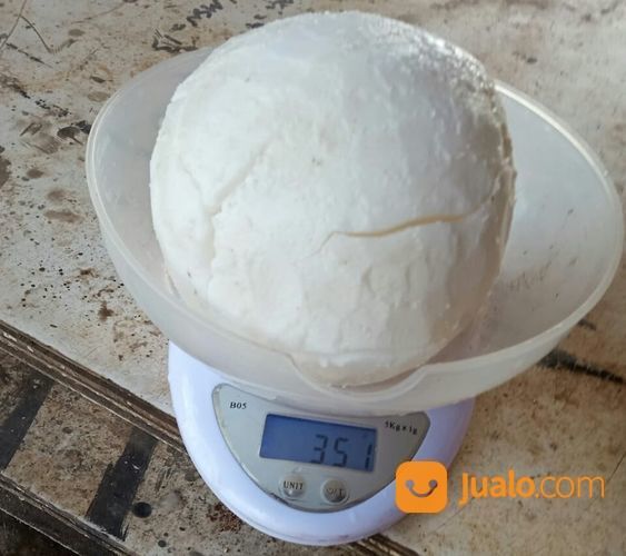 Grosir Daging Kelapa Tua