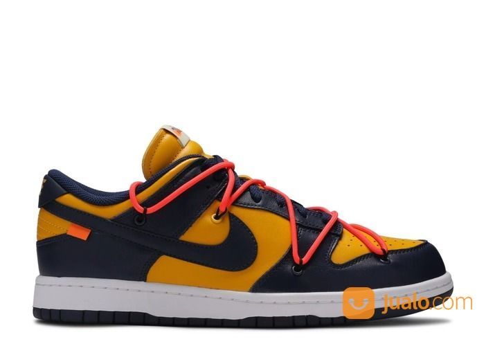 dunk michigan nike