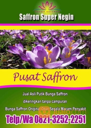 Putik Bunga Saffron Import Banyak Manfaat Bogor Jualo