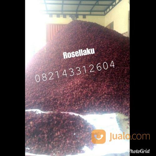 Gambar Bunga Rosella Ungu - Bunga yang bernama latin ...