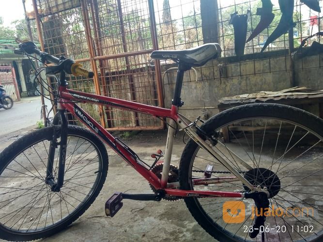 wim cycle mtb