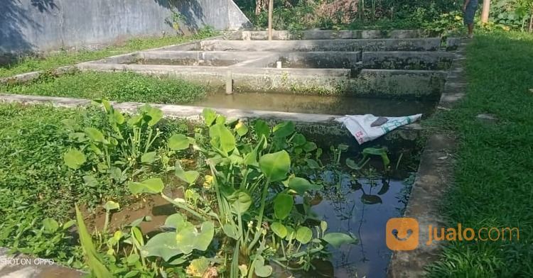 Villa Murah Di Nagrog Wanayasa Purwakarta di Kab. Purwakarta, Jawa