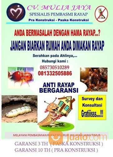 Jasa Anti Rayap Di Cilacap, Banyumas, Purwokerto, purbalingga ,kebumen,Kutoarjo