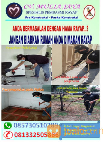 Jasa Anti Rayap Di Cilacap, Banyumas, Purwokerto, purbalingga ,kebumen,Kutoarjo